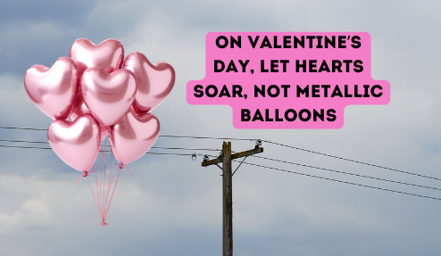 Metallic balloons flying near electrical wires