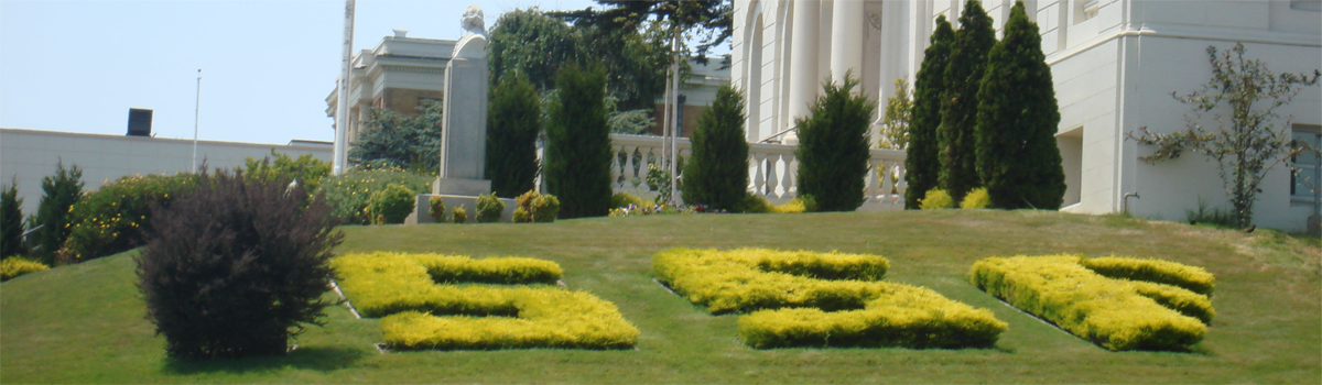 landscape outside City Hall carved into the shape of the letters SSF