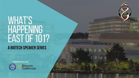 Slideshow previews.jpg