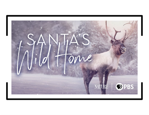 Santa's Wild Home documentary