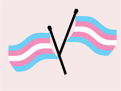 Image of two Trans flags on a light pink background