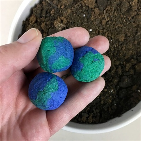 Seed Bombs for Earth Day