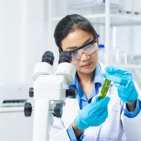 YWIB Career Panel.png