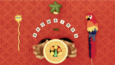 Snowbirds movie poster showing graphics of a parrot, fruit, the sun, and a palm tree.