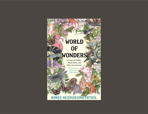 A-Roaming-Readers Wonders 0325