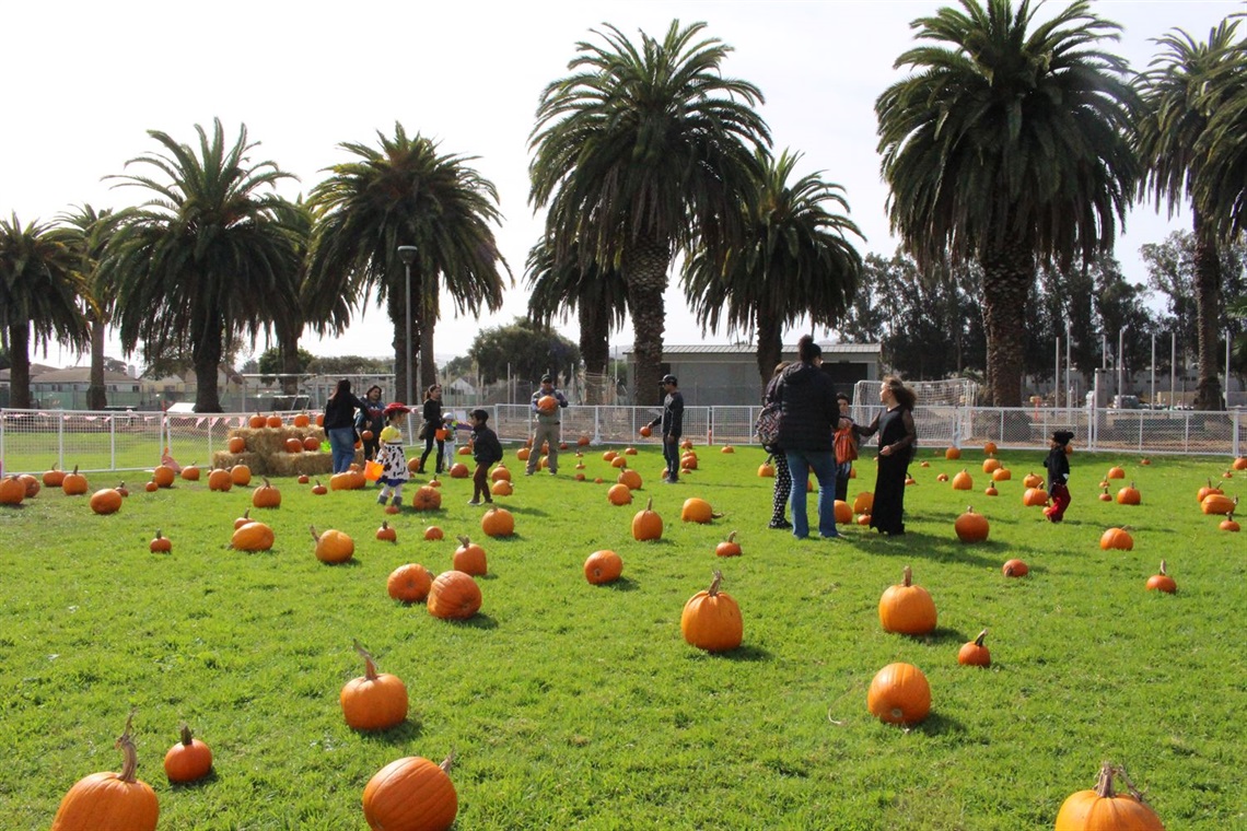 Pumpkin Patch at the Halloween Extravaganza