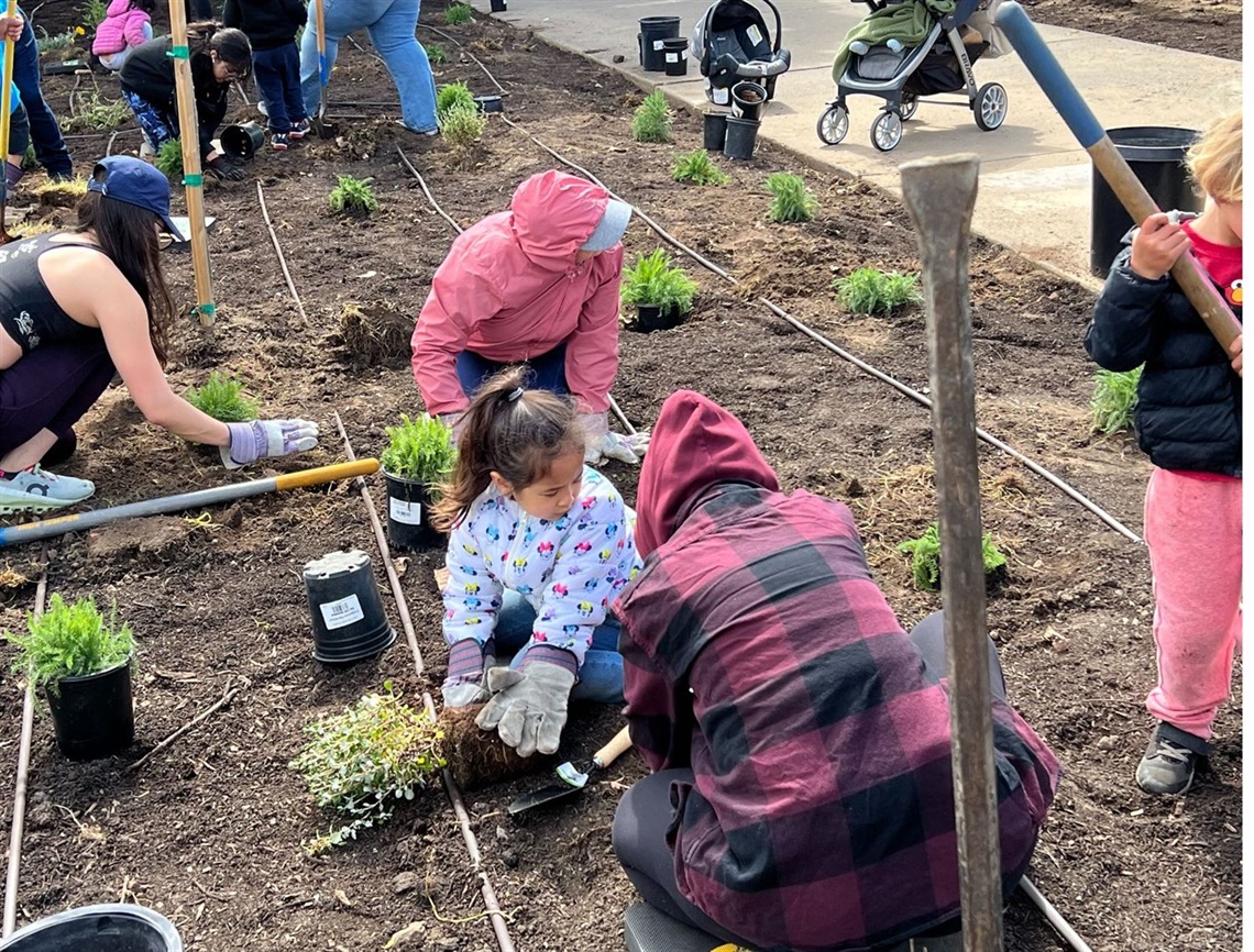 Volunteers Planting