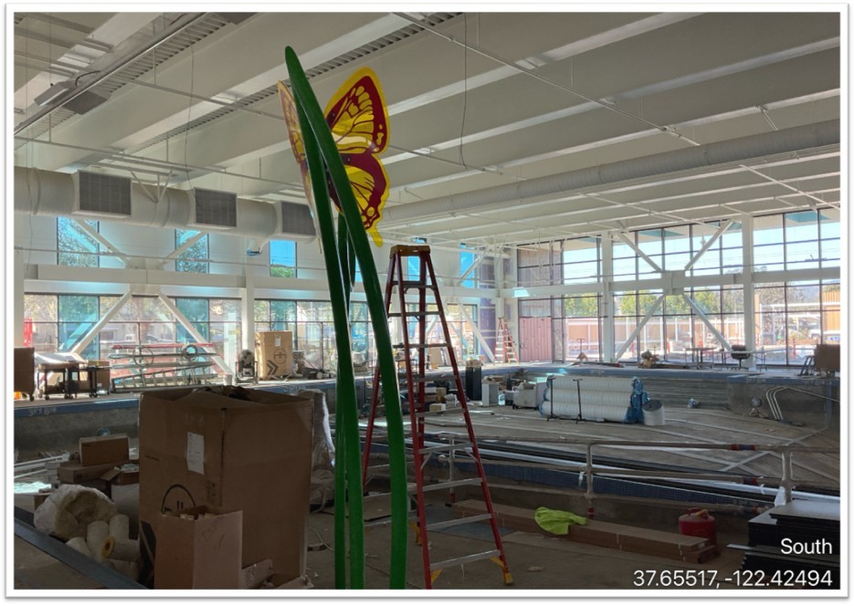 indoor pool construction butterfly feature
