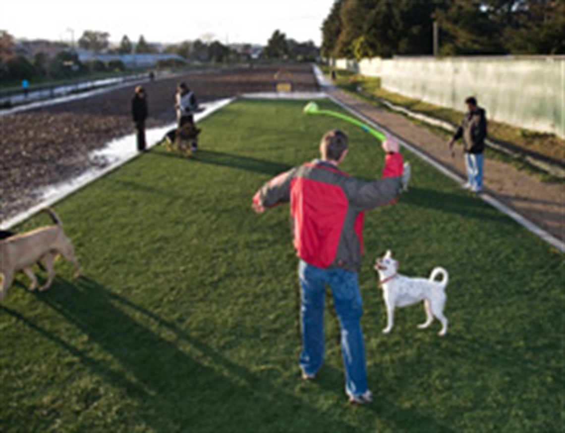 Dog Park