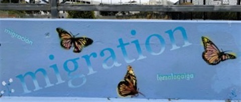 3 butterflies and the word migration