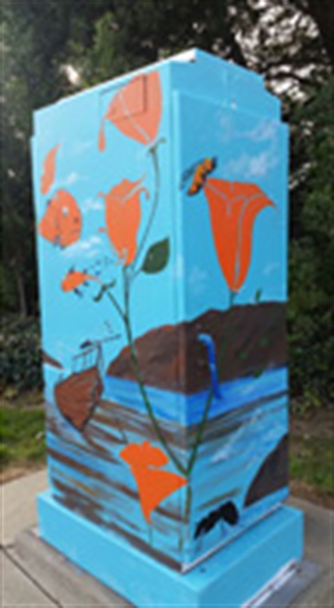 untitled ΓÇô surrealist images of nature in Northern California