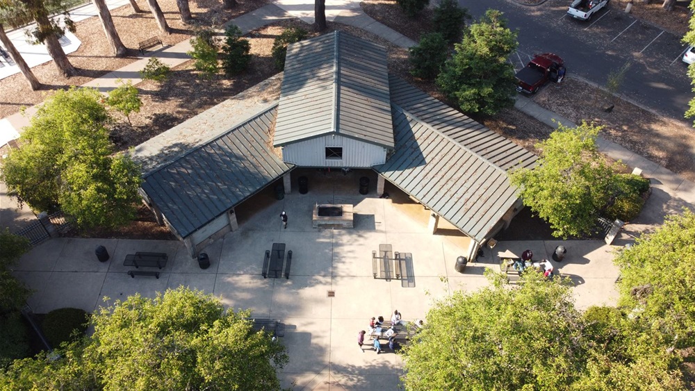 Eucalyptus Shelter Aerial