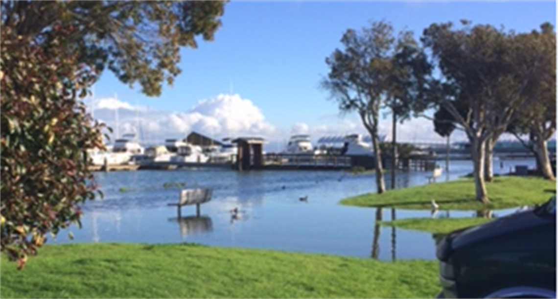 The South San Francisco Shoreline flooded surrounged by greenery
