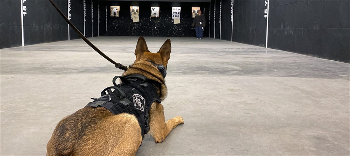 K9 Demo Crime Prevention