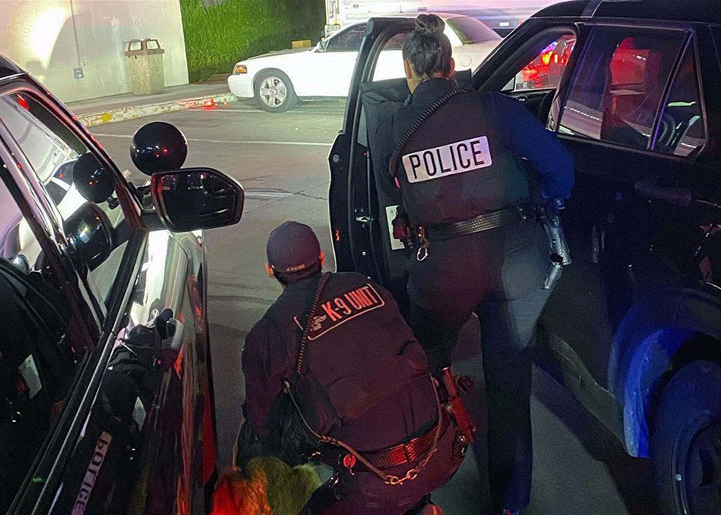 Criminal Investigations