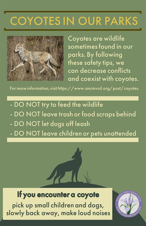 Coyote Safety Flyer.jpg